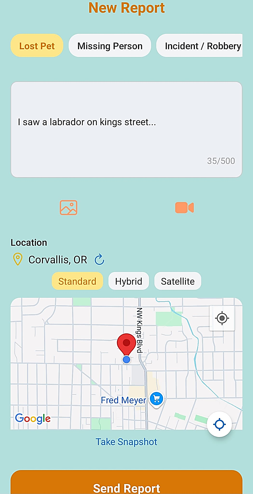 Report Screen